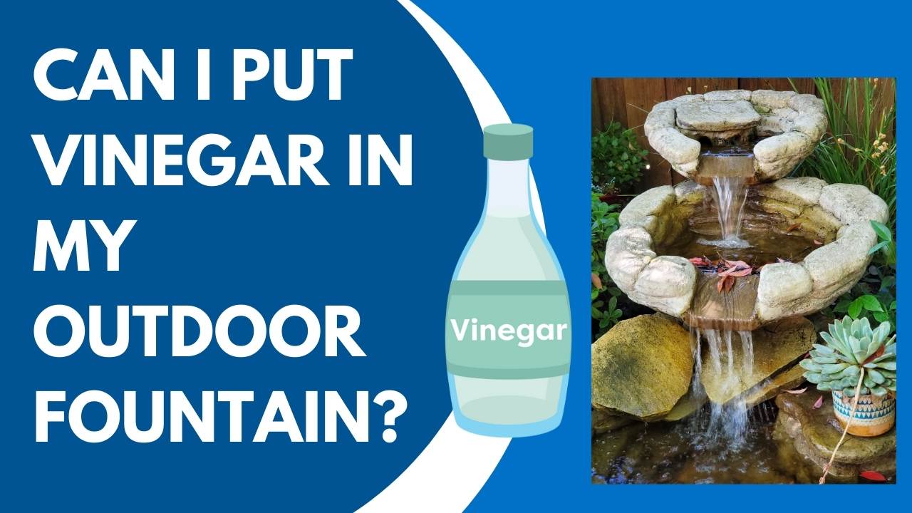 vinegar in my outdoor fountain