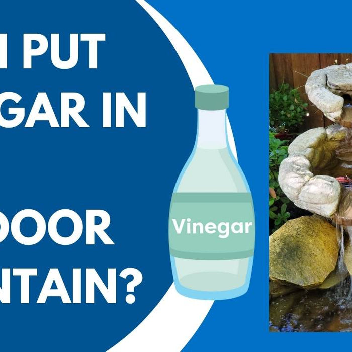 vinegar in my outdoor fountain