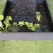 Aquarius Fountain Charcoal bottom basin view