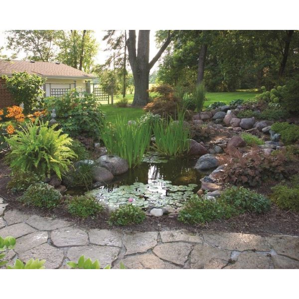 Aquascape DIY Backyard Pond Kits