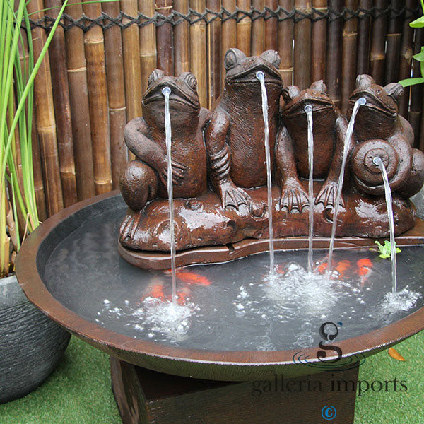 Frog Pond Bowl Water Fountain Outdoor with goldfish