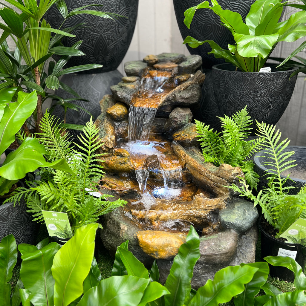 nature brook fountain with plants