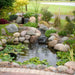 diy backyard pond kit create beautiful pond